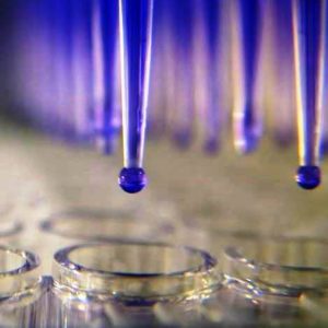 Functionalizing Surfaces